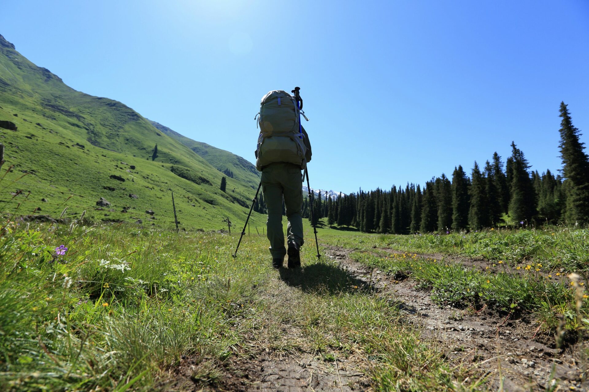 ¿Qué son las mochilas de trekking o senderismo?